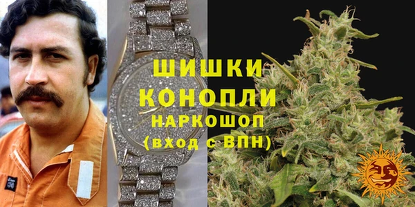 PSILOCYBIN Бородино