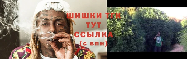 PSILOCYBIN Бородино