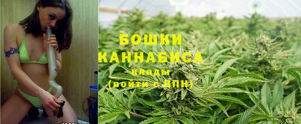 PSILOCYBIN Бородино