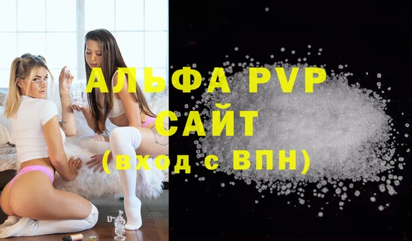 PSILOCYBIN Бородино