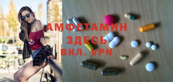 PSILOCYBIN Бородино