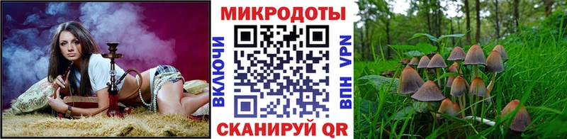 darknet телеграм  дарнет шоп  Гудермес  Псилоцибиновые грибы Psilocybine cubensis 