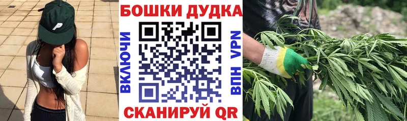 kraken онион  Гудермес  Шишки марихуана планчик 